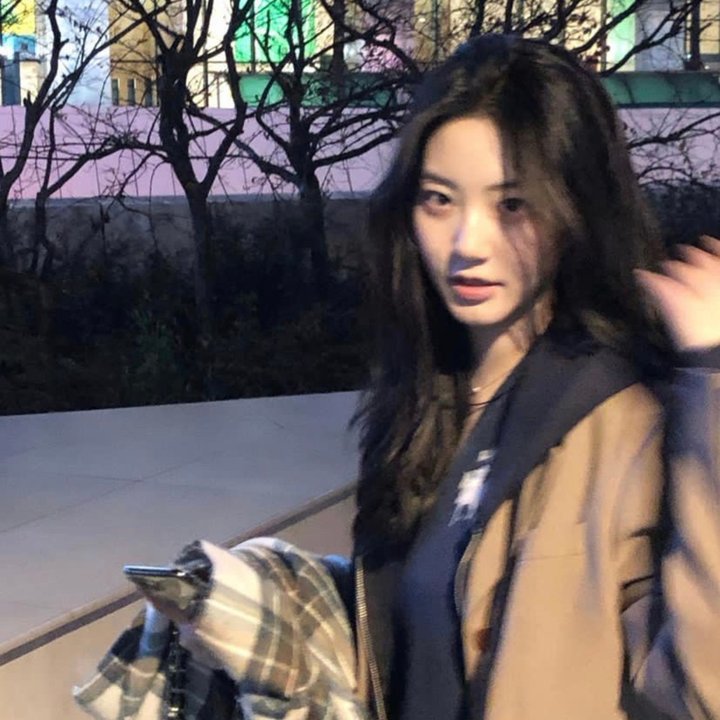 森林的黑暗心脏